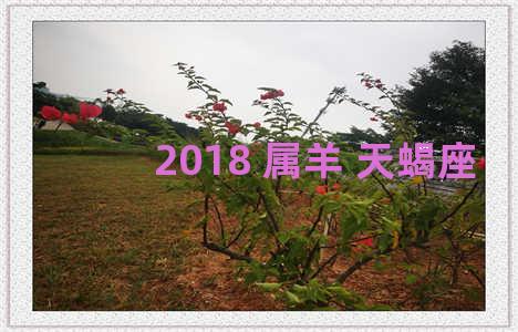 2018 属羊 天蝎座